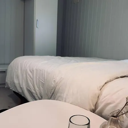 Leilighet Center - 2 Bedrooms - Ev-plug