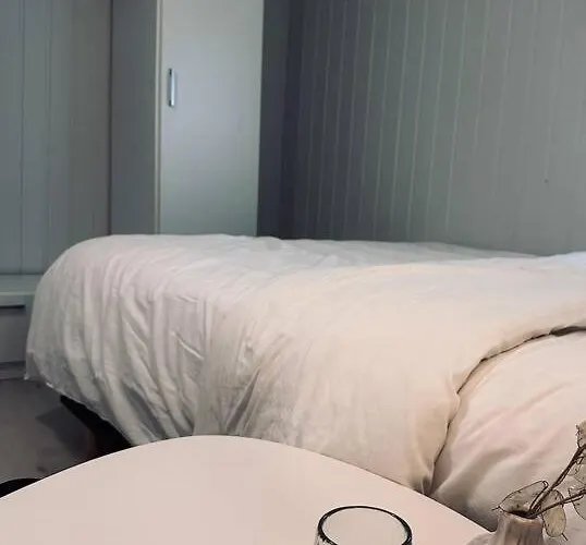 Apartamento Center - 2 Bedrooms - Ev-plug